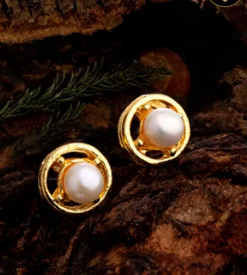 Delicate Yellow Gold Plated Stud Earrings